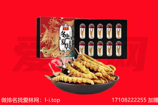 城中冬虫夏草回收
