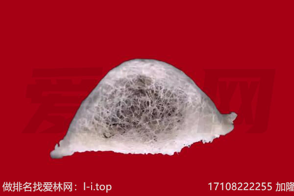 城中燕窝回收